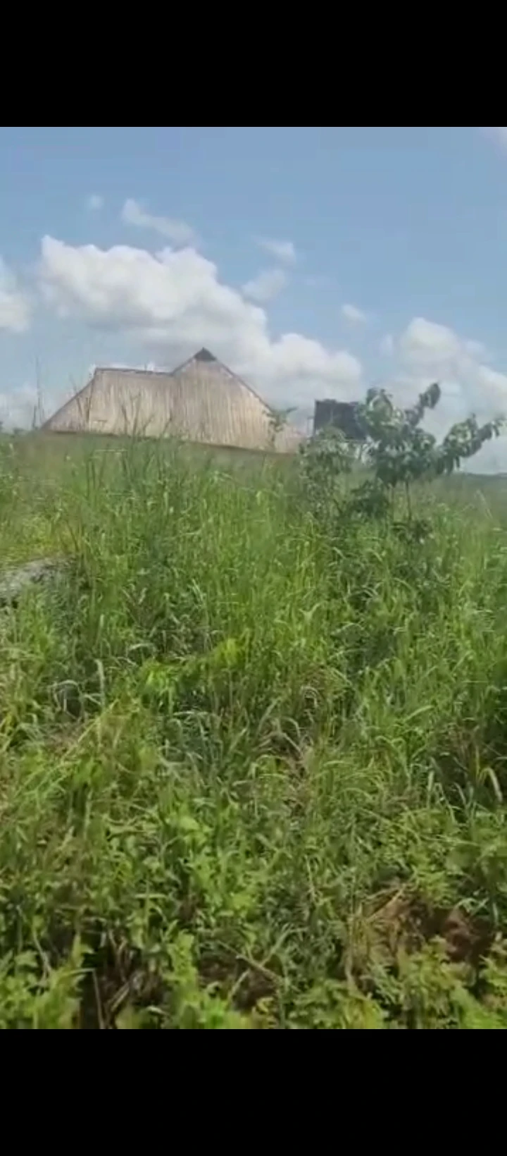 Land for Sale in EKHIADOLOR oluku, Edo - Image 3