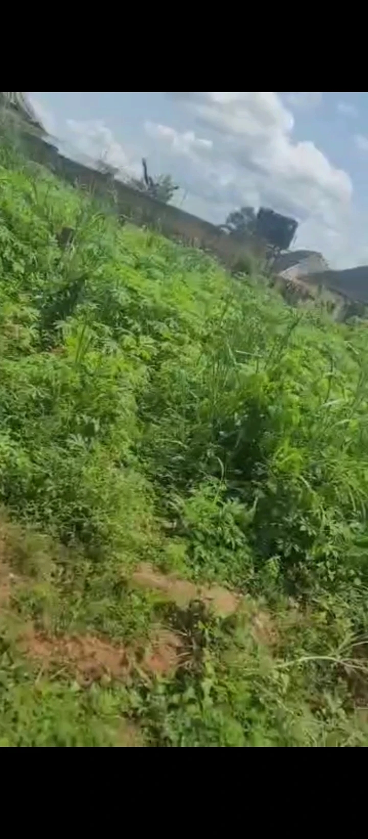 Land for Sale in EKHIADOLOR oluku, Edo - Image 2