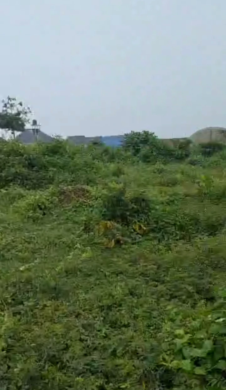 Land for Sale in Amagba, Edo - Image 2