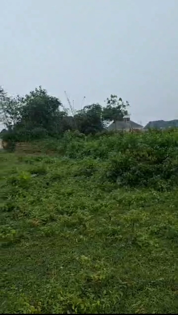 Land for Sale in Amagba, Edo - Image 1