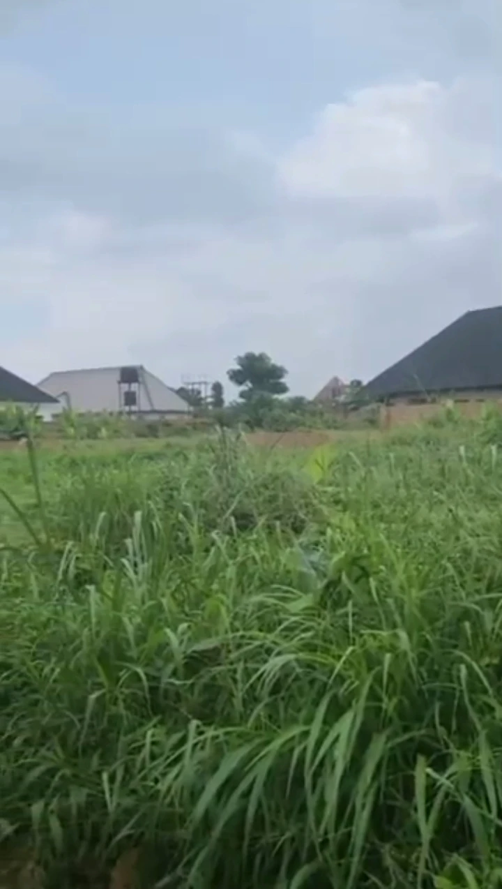 Land for Sale in Okhouromi, Edo - Image 2