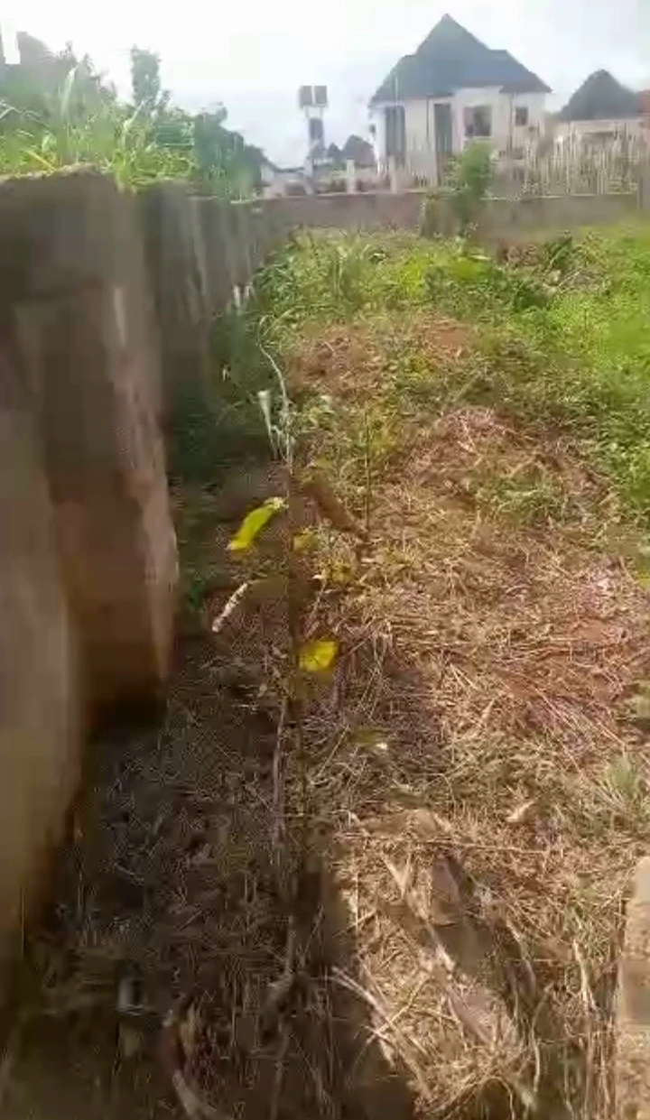 Land for Sale in Amagba, Edo - Image 1