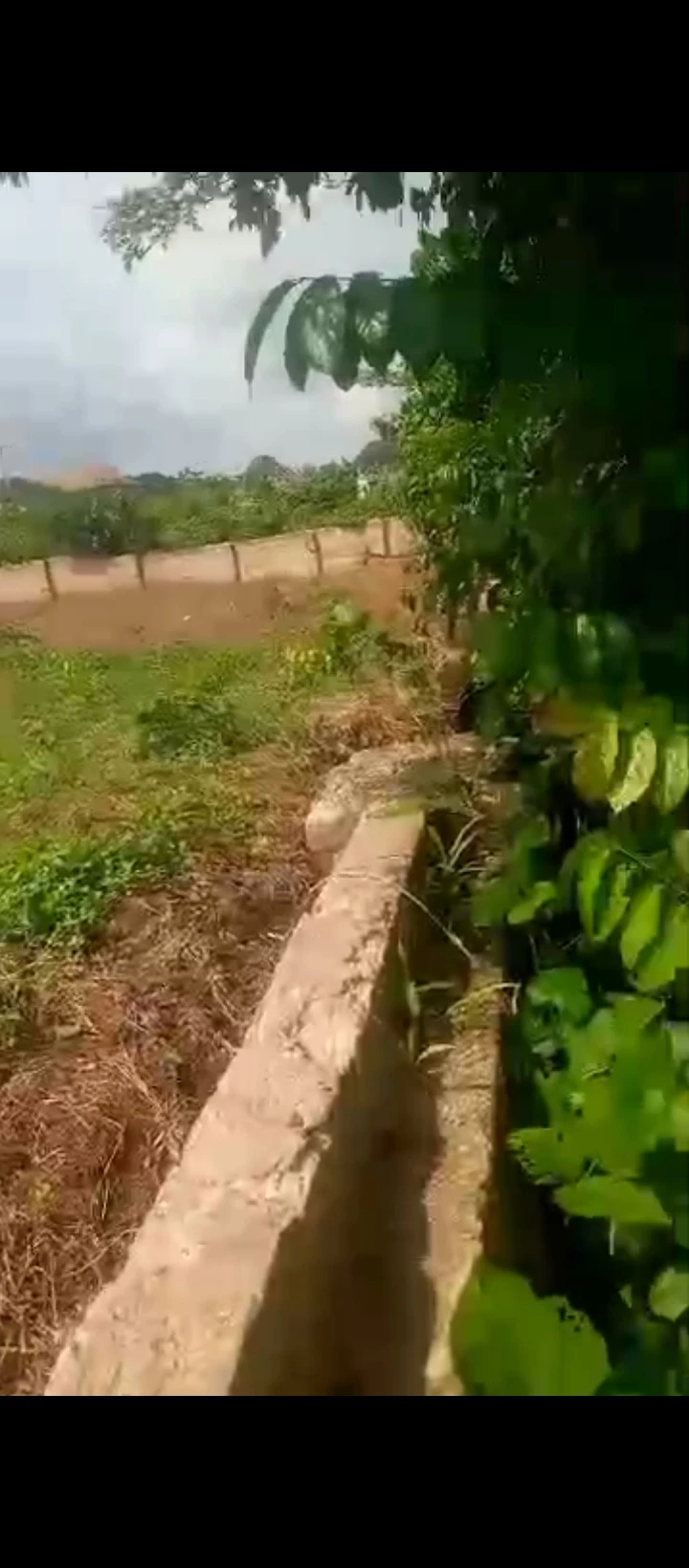 Land for Sale in Amagba, Edo - Image 2