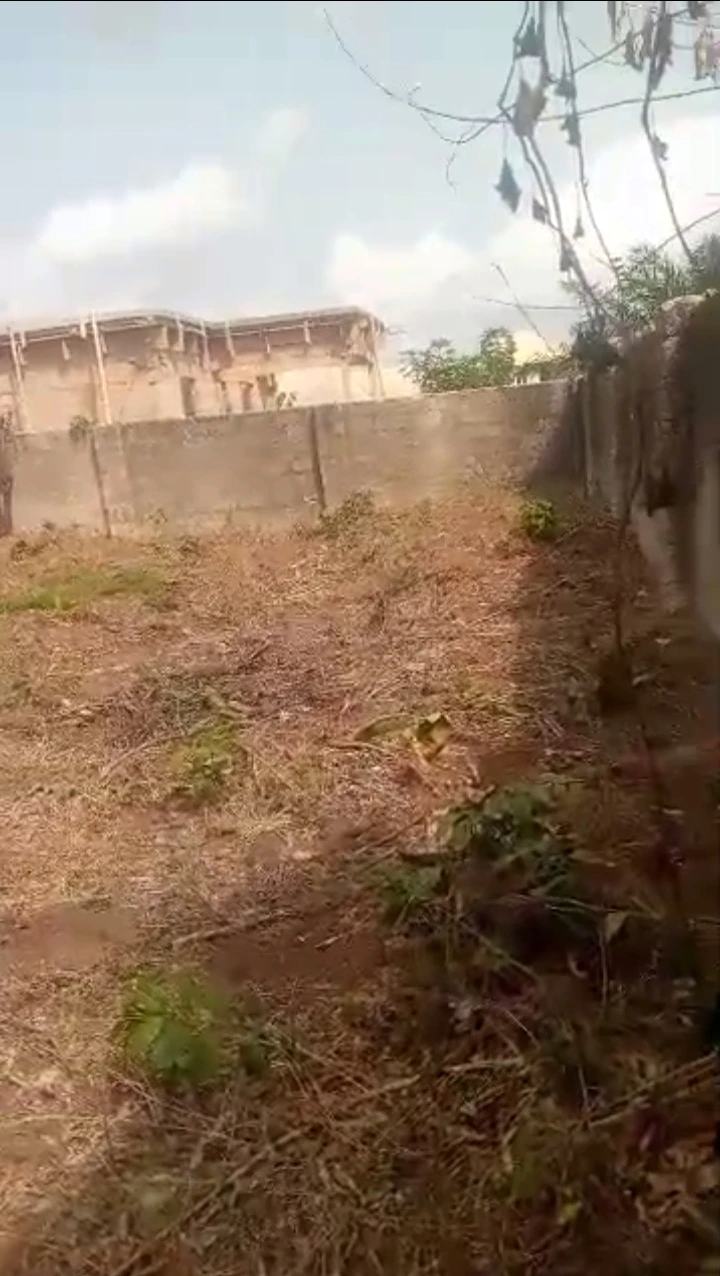 Land for Sale in Amagba, Edo - Image 3
