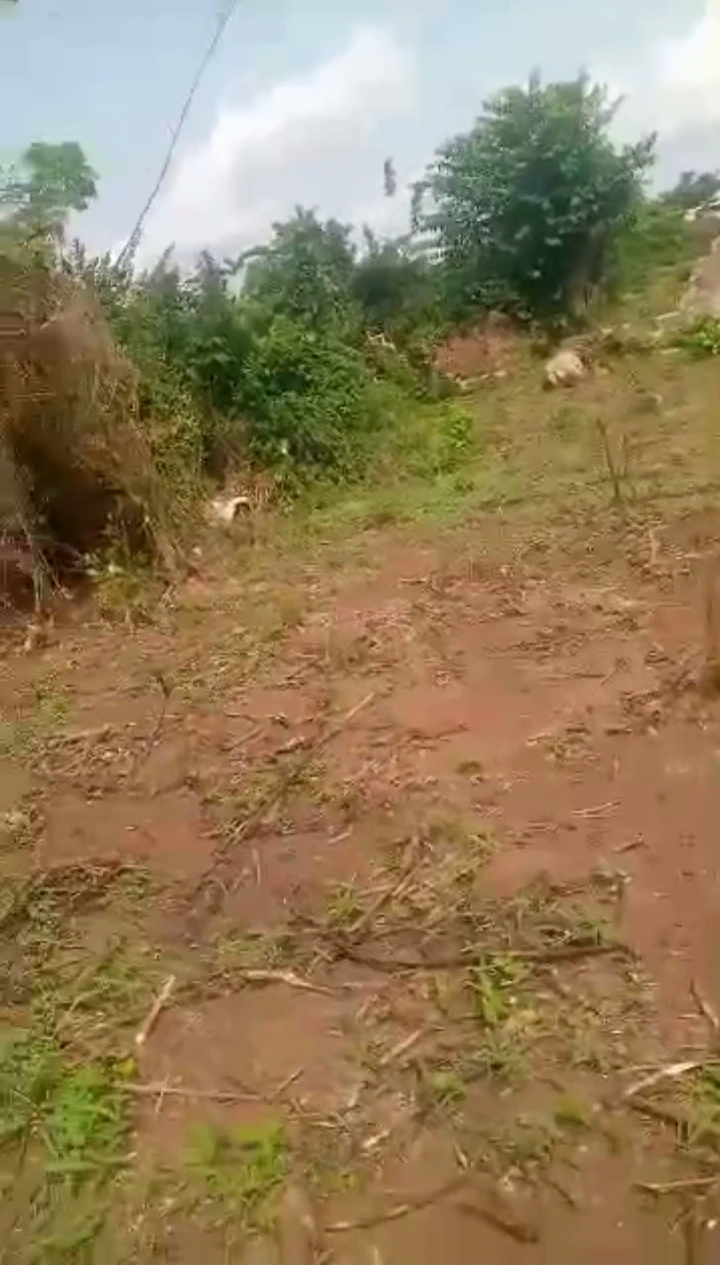 Land for Sale in Amagba, Edo - Image 4