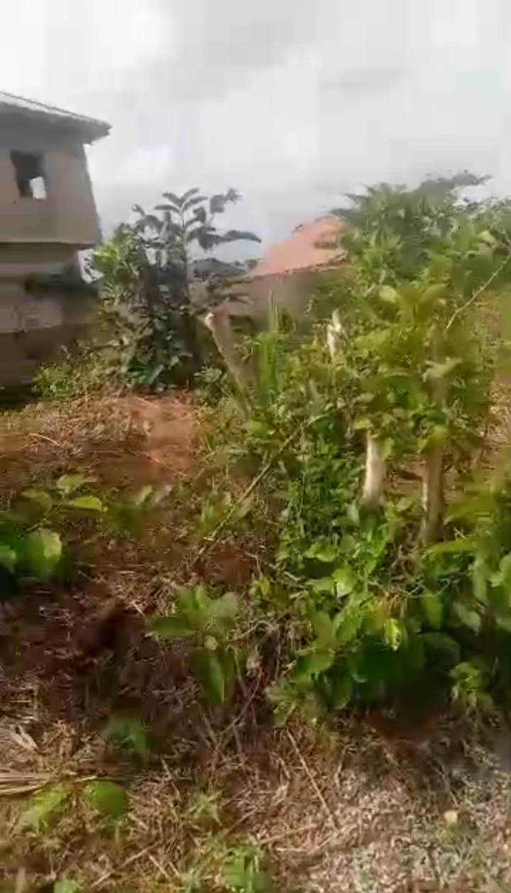 Land for Sale in Amagba, Edo - Image 2