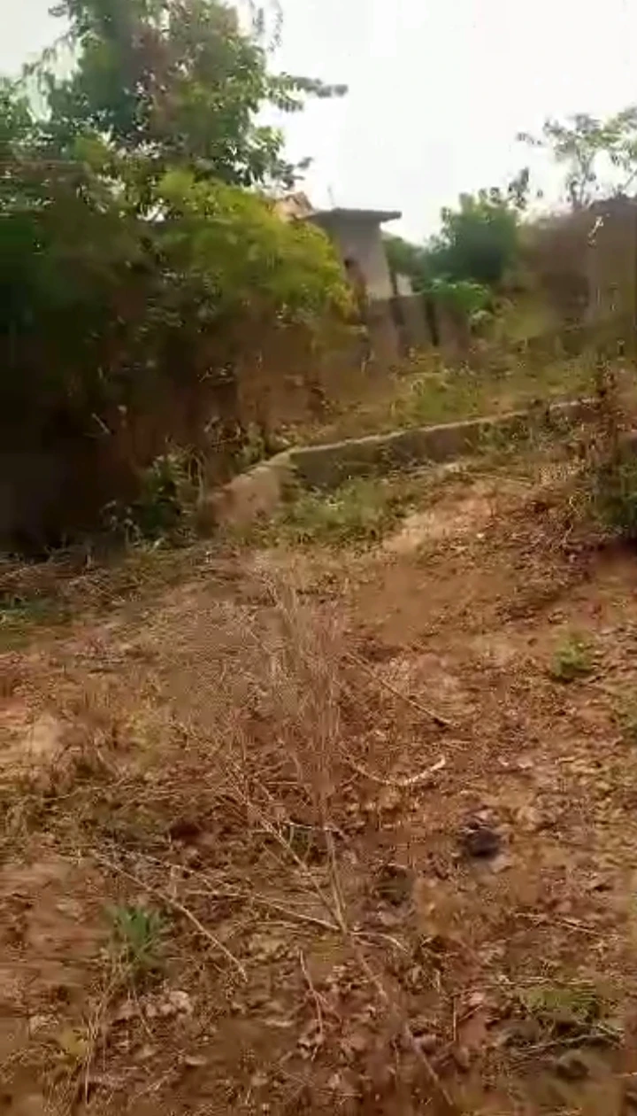Land for Sale in Amagba, Edo - Image 2