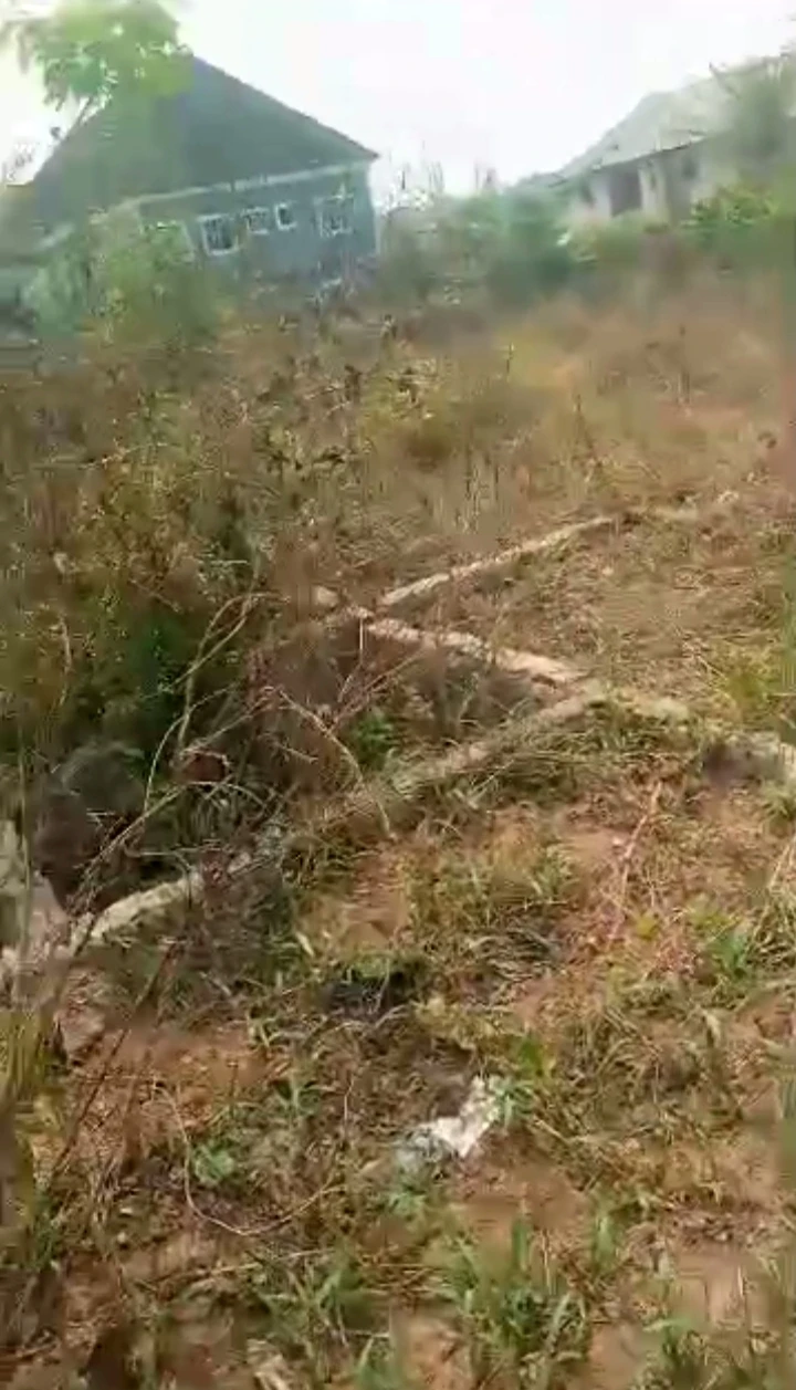 Land for Sale in Amagba, Edo - Image 1