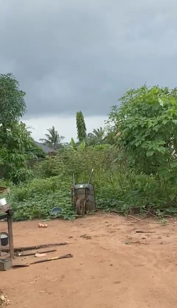 Ware House for Sale in Amagba, Edo - Image 2