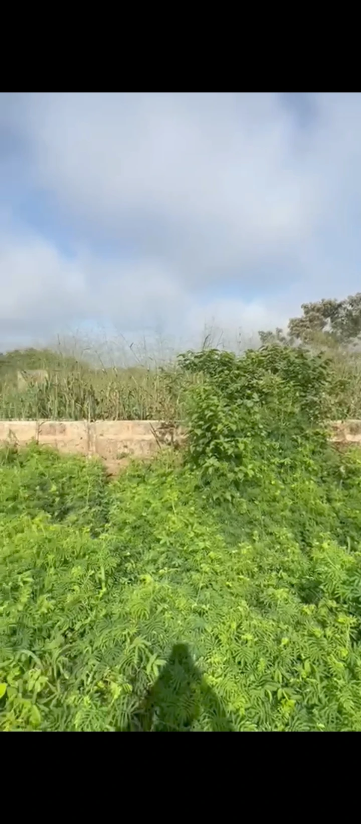 Land for Sale in BIU Road along sapele road, Edo - Image 2