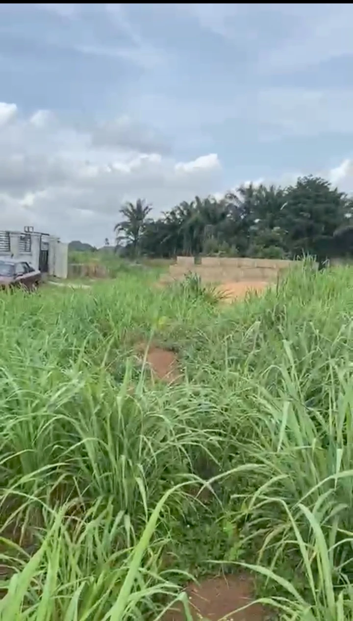 Land for Sale in Eyea Auchi road, Edo - Image 1