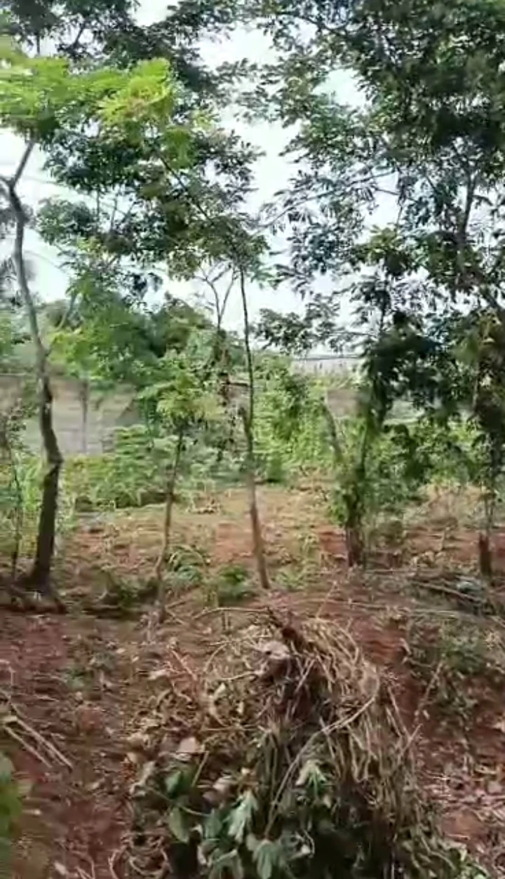 Land for Sale in Ugbor central, Edo - Image 1