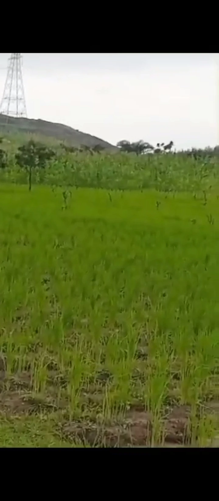 Land for Sale in Gwagwalada, FCT - Image 2