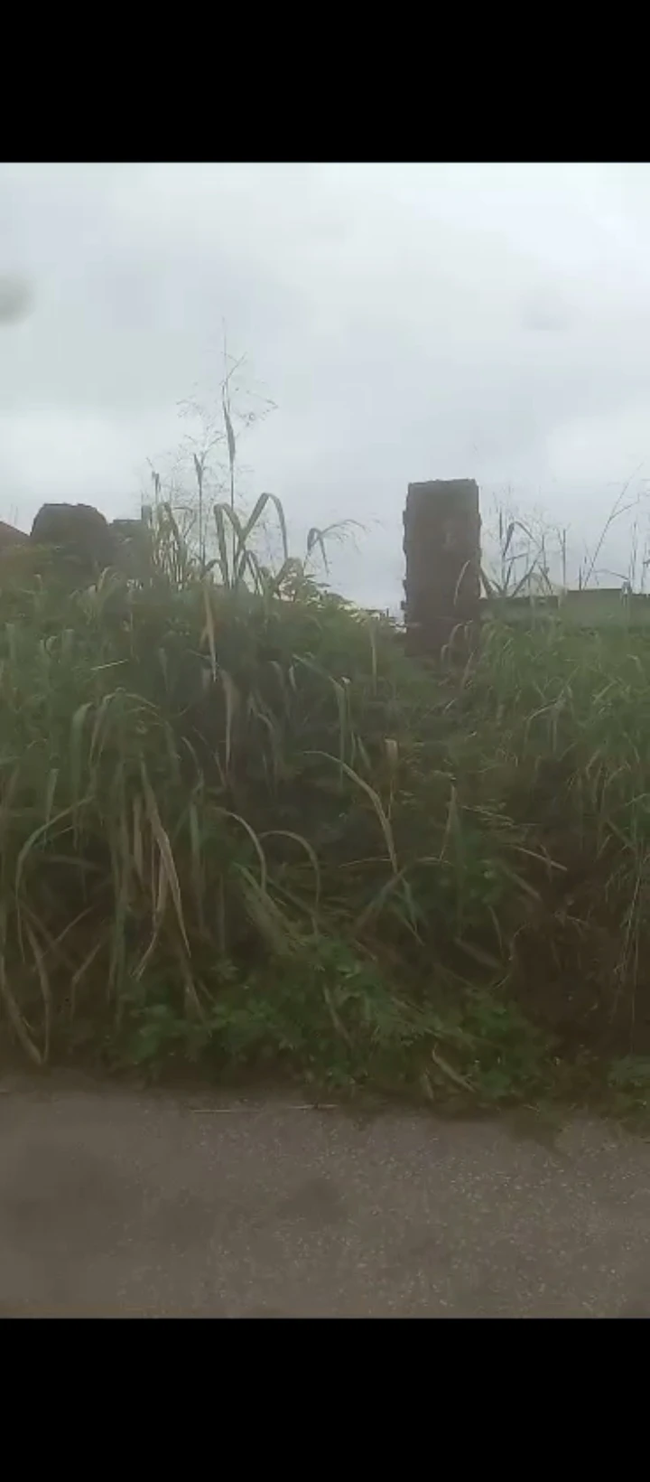 Land for Sale in Miller road by Ugbor, Edo - Image 1