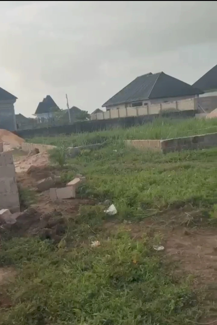 Land for Sale in Obagie road, Edo - Image 3