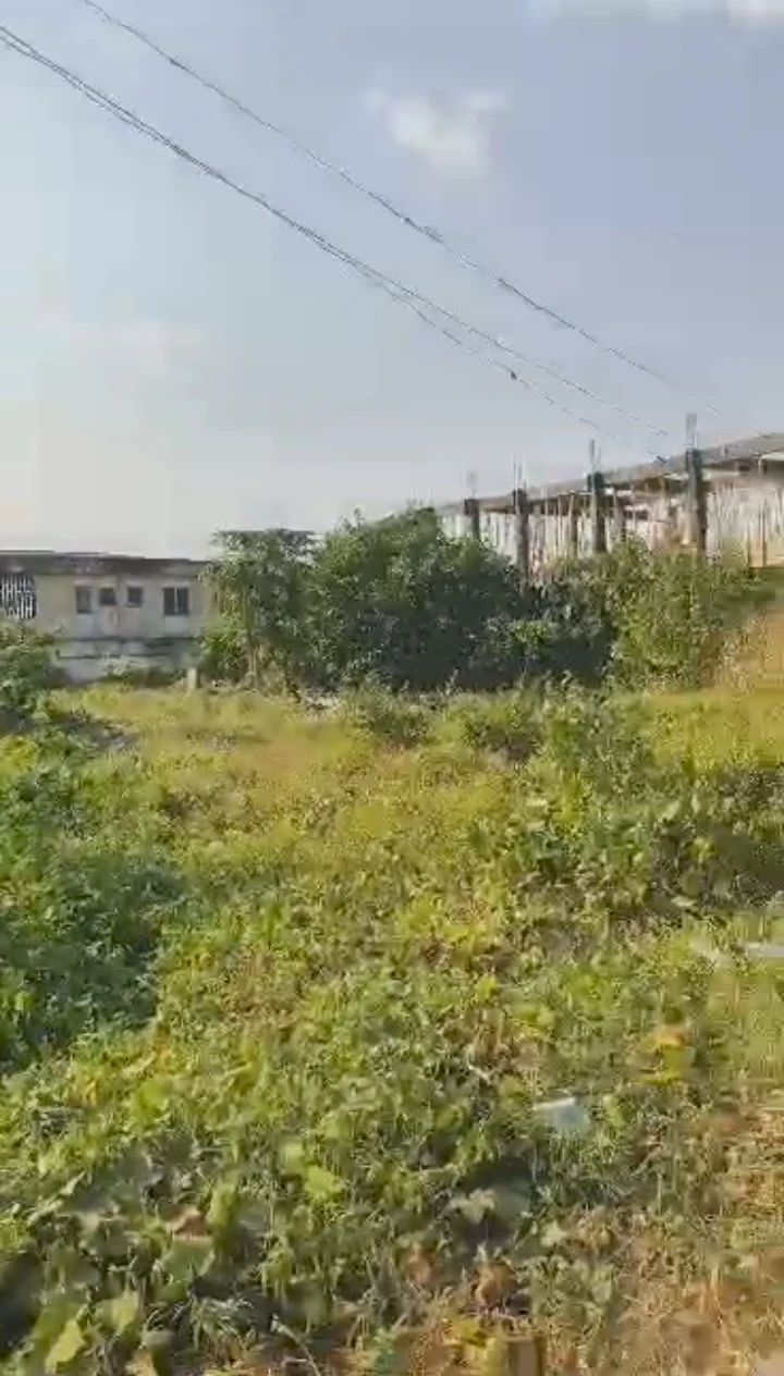 Land for Sale in 2nd east circular road, Edo - Image 1