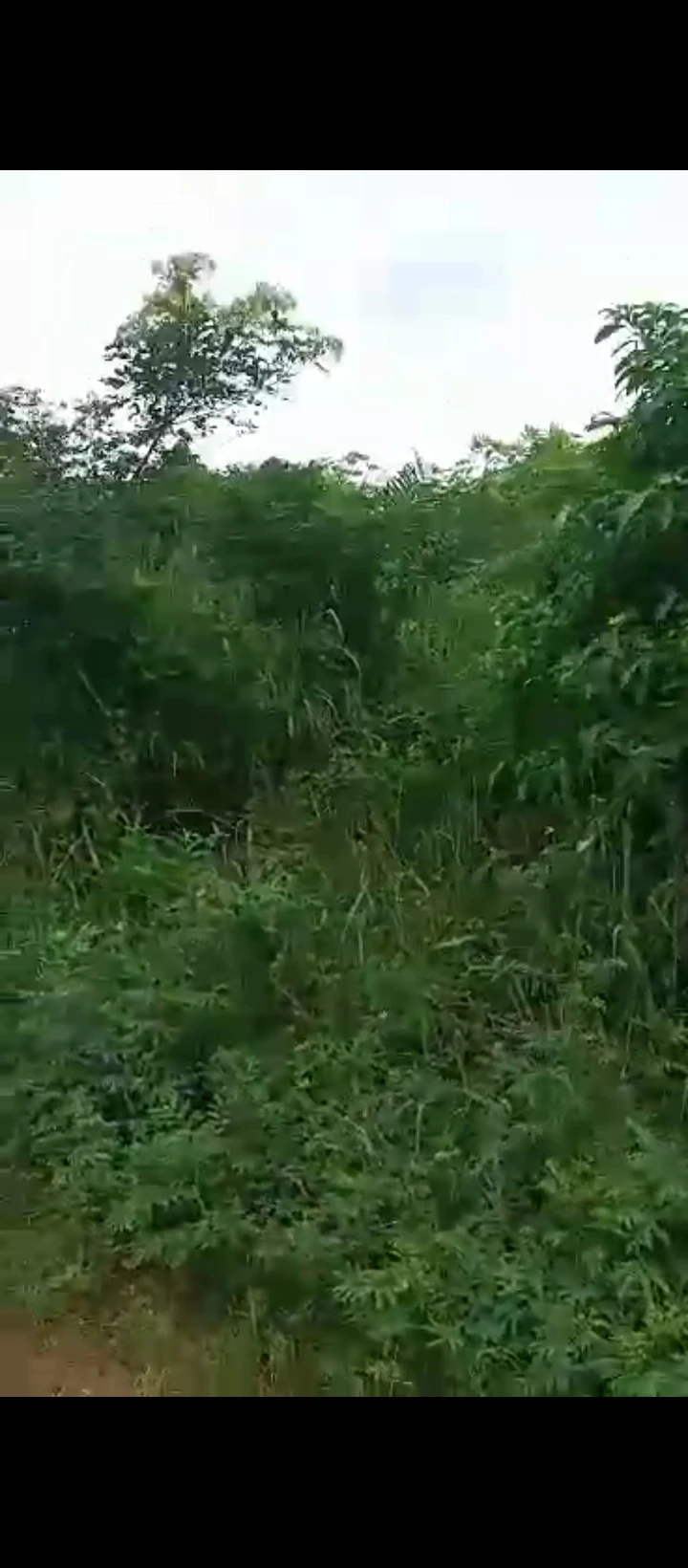 Land for Sale in BIU Road along sapele road, Edo - Image 2
