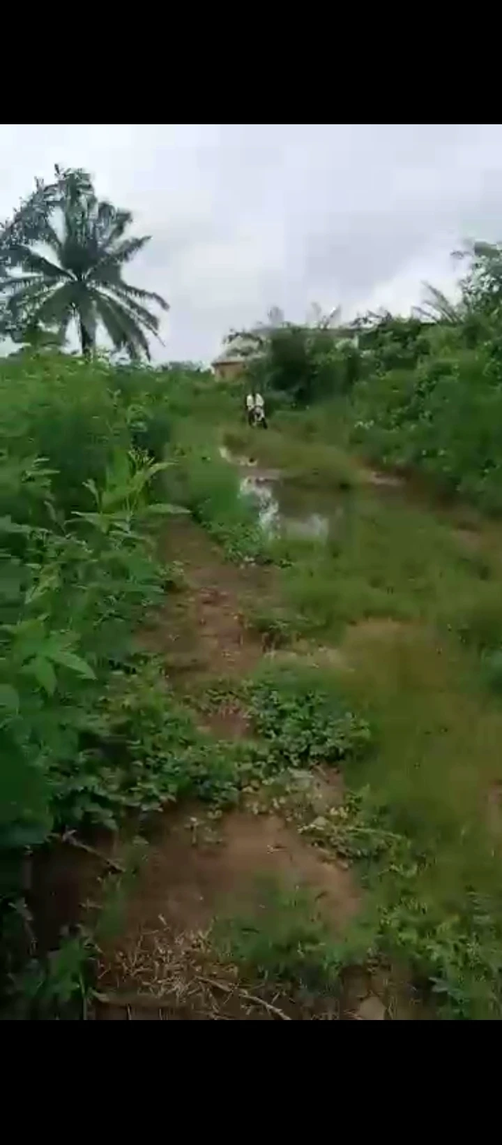 Land for Sale in BIU Road along sapele road, Edo - Image 3