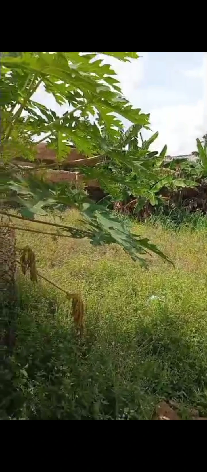Land for Sale in Amagba, Edo - Image 3
