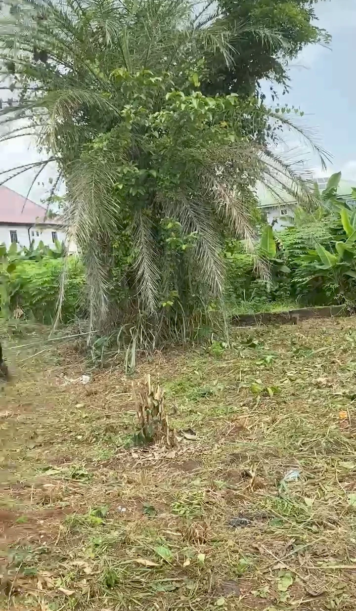 Land for Sale in Ogunwenyin, Edo - Image 1