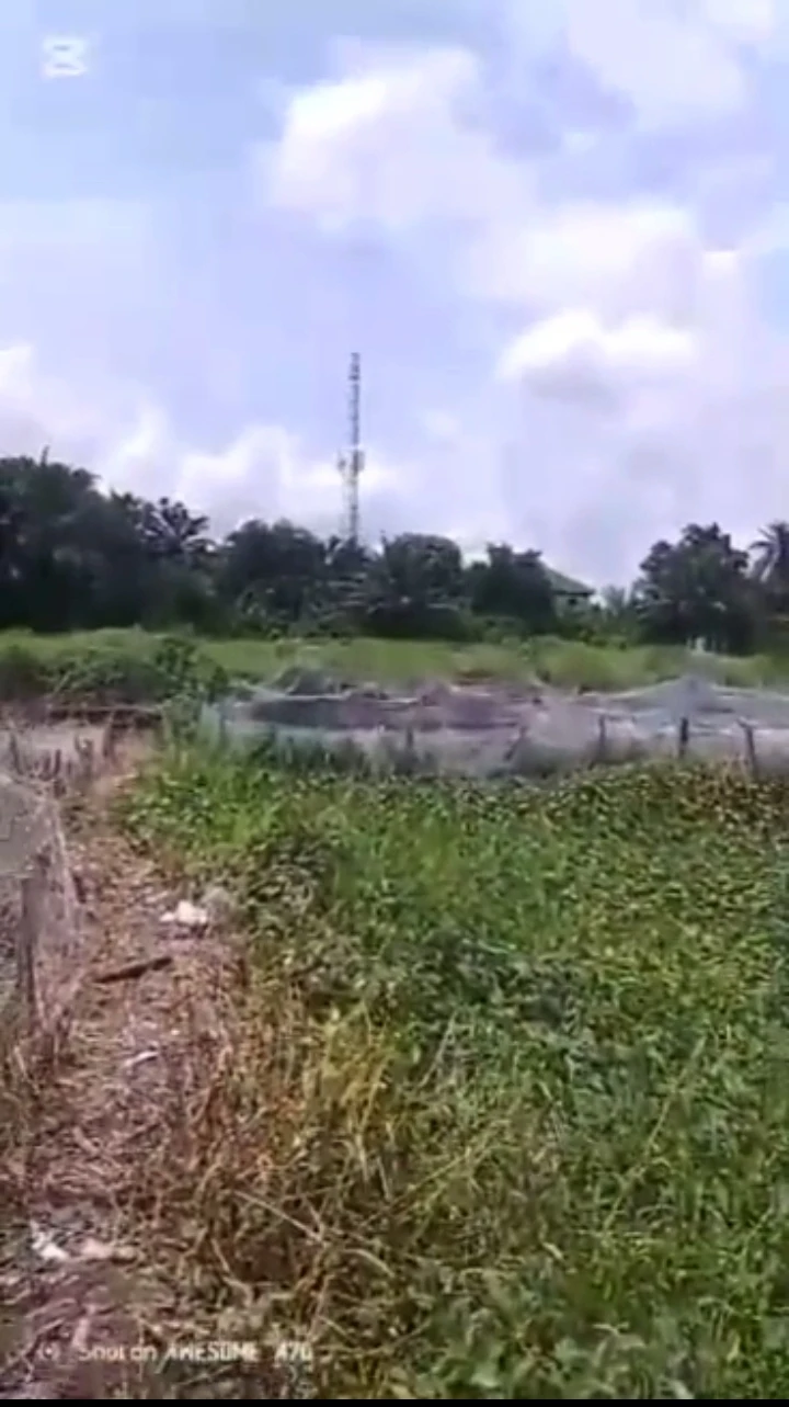 Land for Sale in off NNPC complex road by ufuoma street., Delta - Image 1