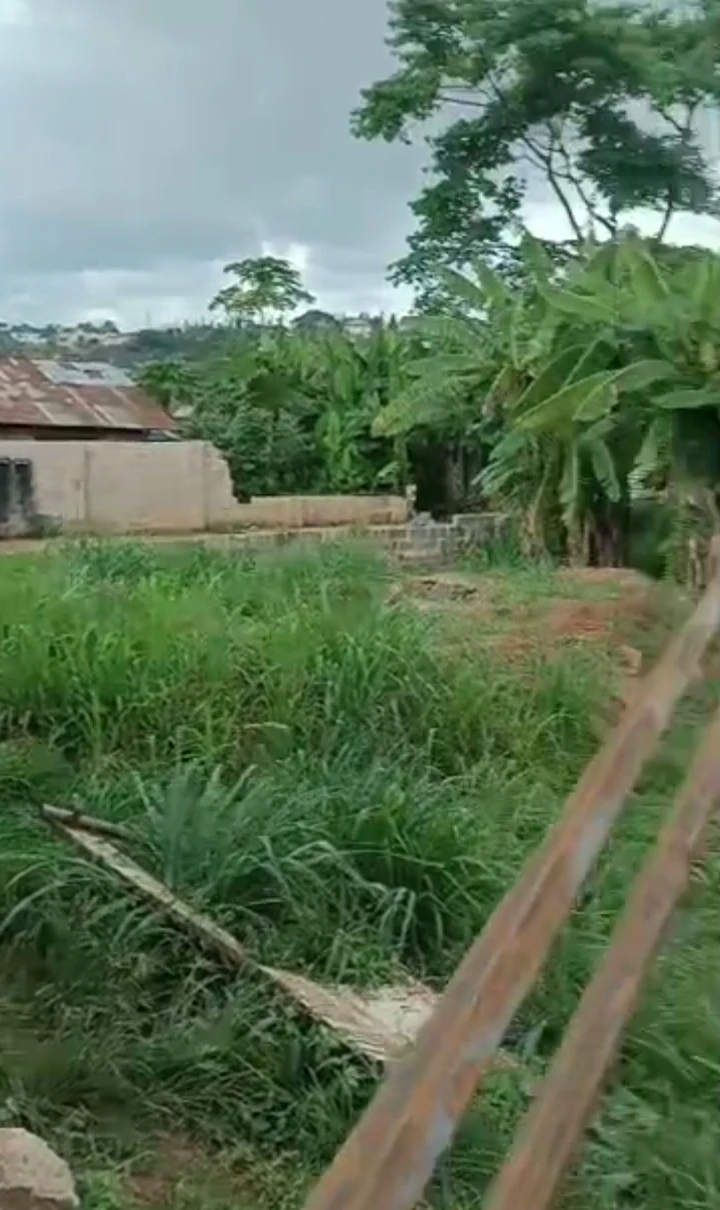 Land for Sale in Airport road, Edo - Image 2