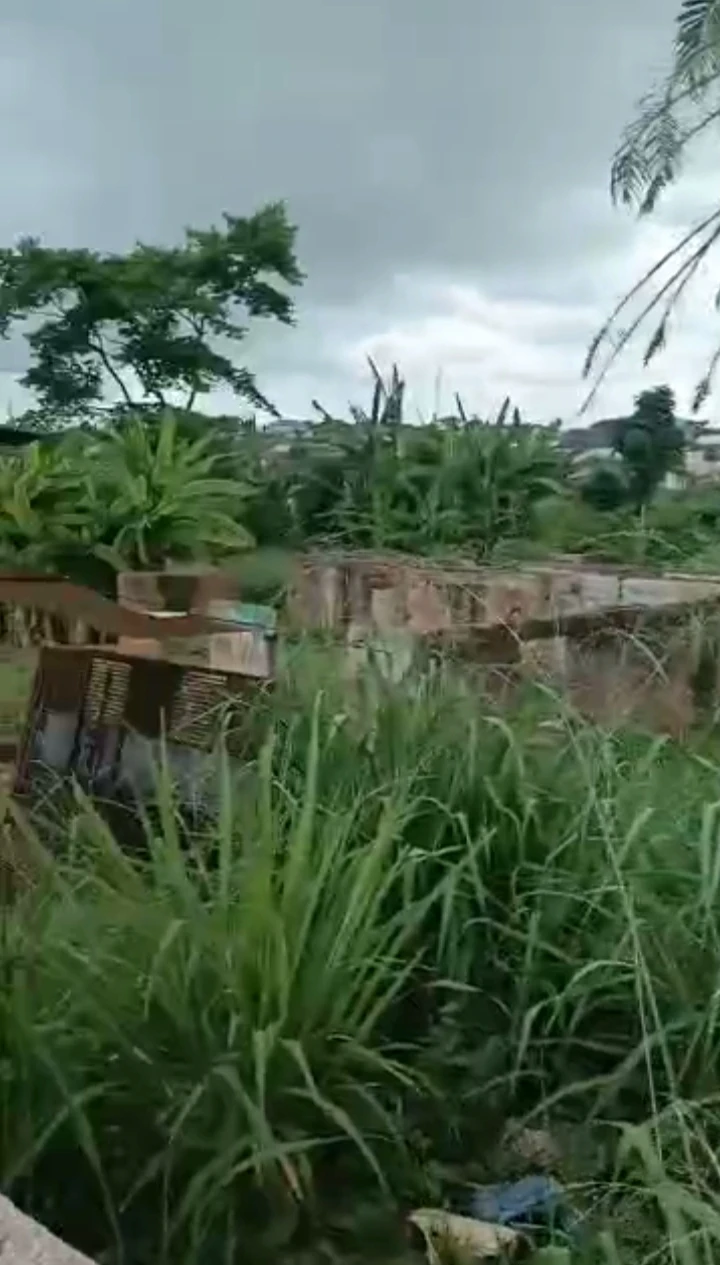 Land for Sale in Airport road, Edo - Image 1