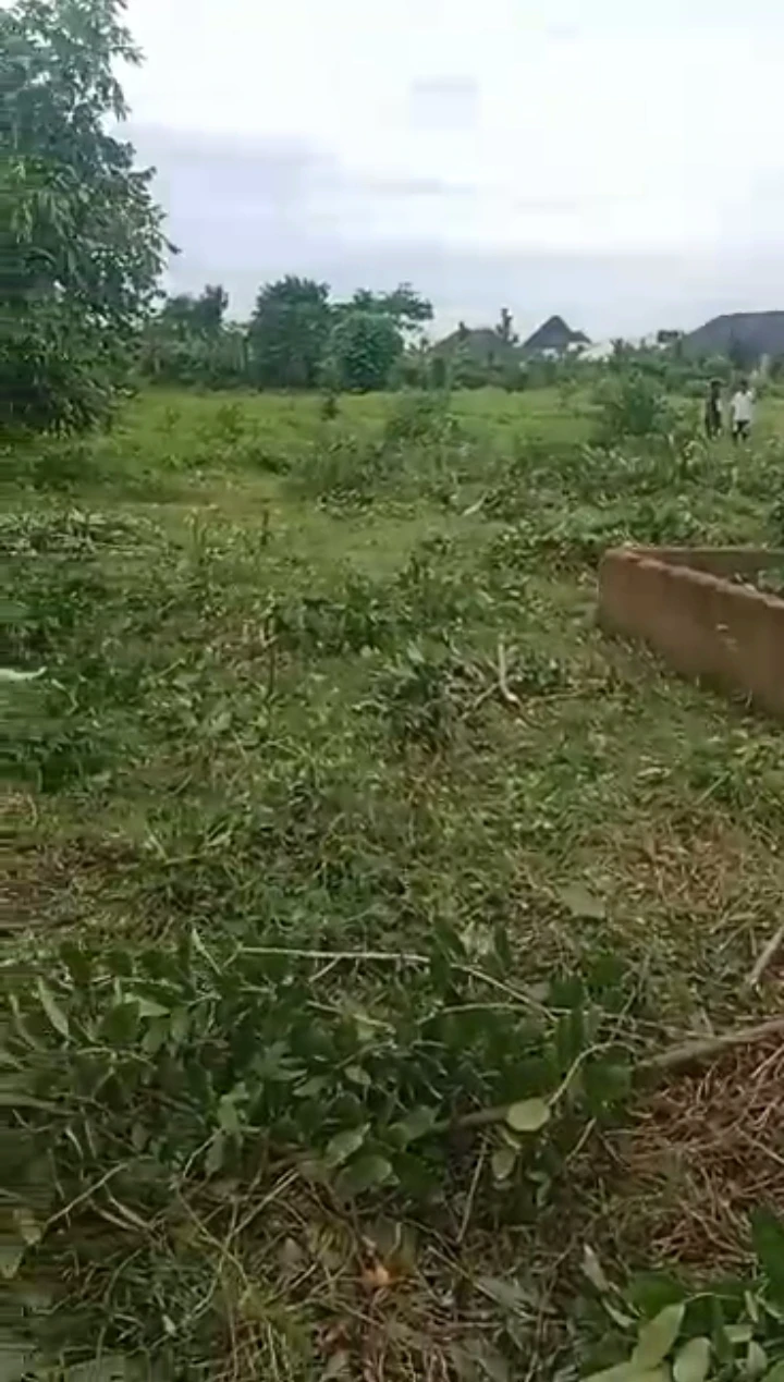 Uncompleted Building for Sale in Ohghobi, Edo - Image 1