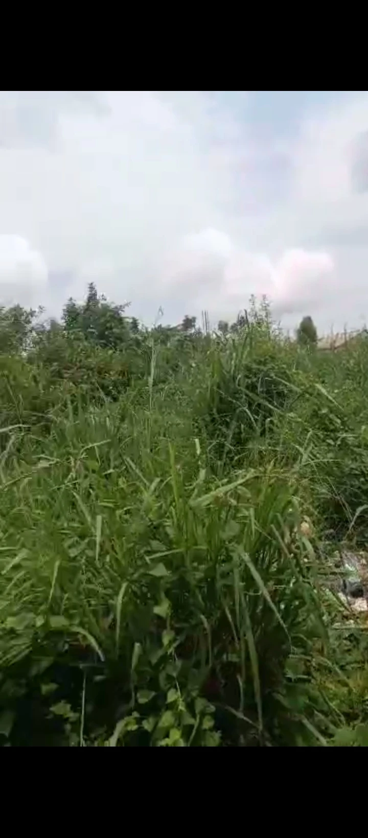 Uncompleted Building for Sale in EBO QUARTER OFF IYEKOGBA IRIRI ROAD OFF AIRPORT ROAD, Edo - Image 2