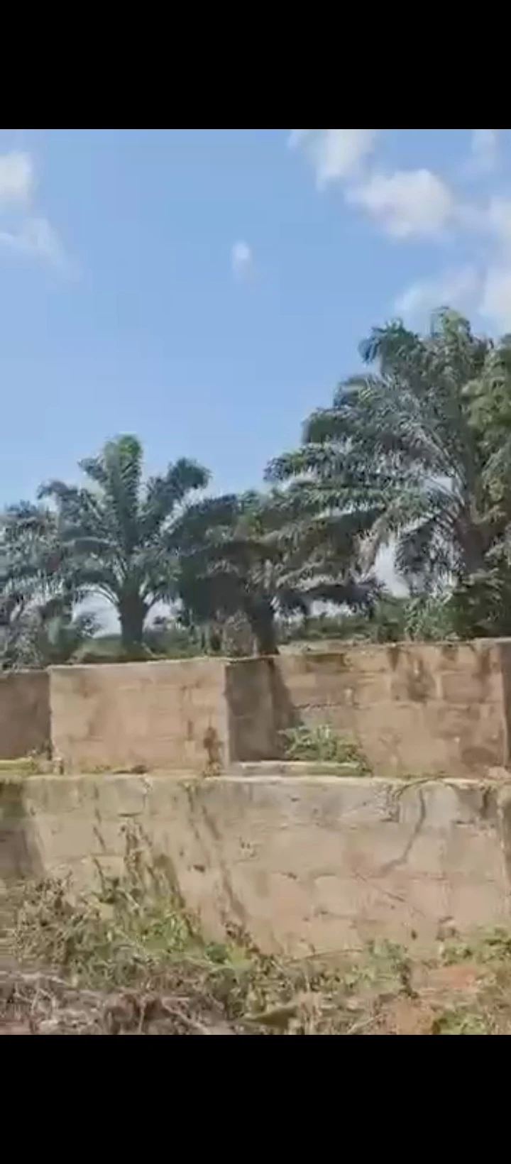 Land for Sale in Obagie road, Edo - Image 2