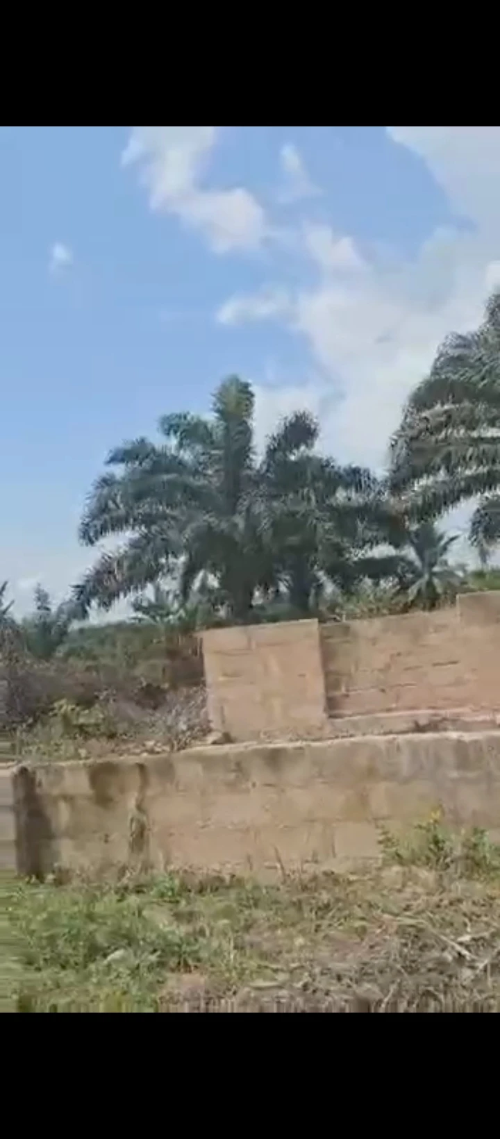 Land for Sale in Obagie road, Edo - Image 3