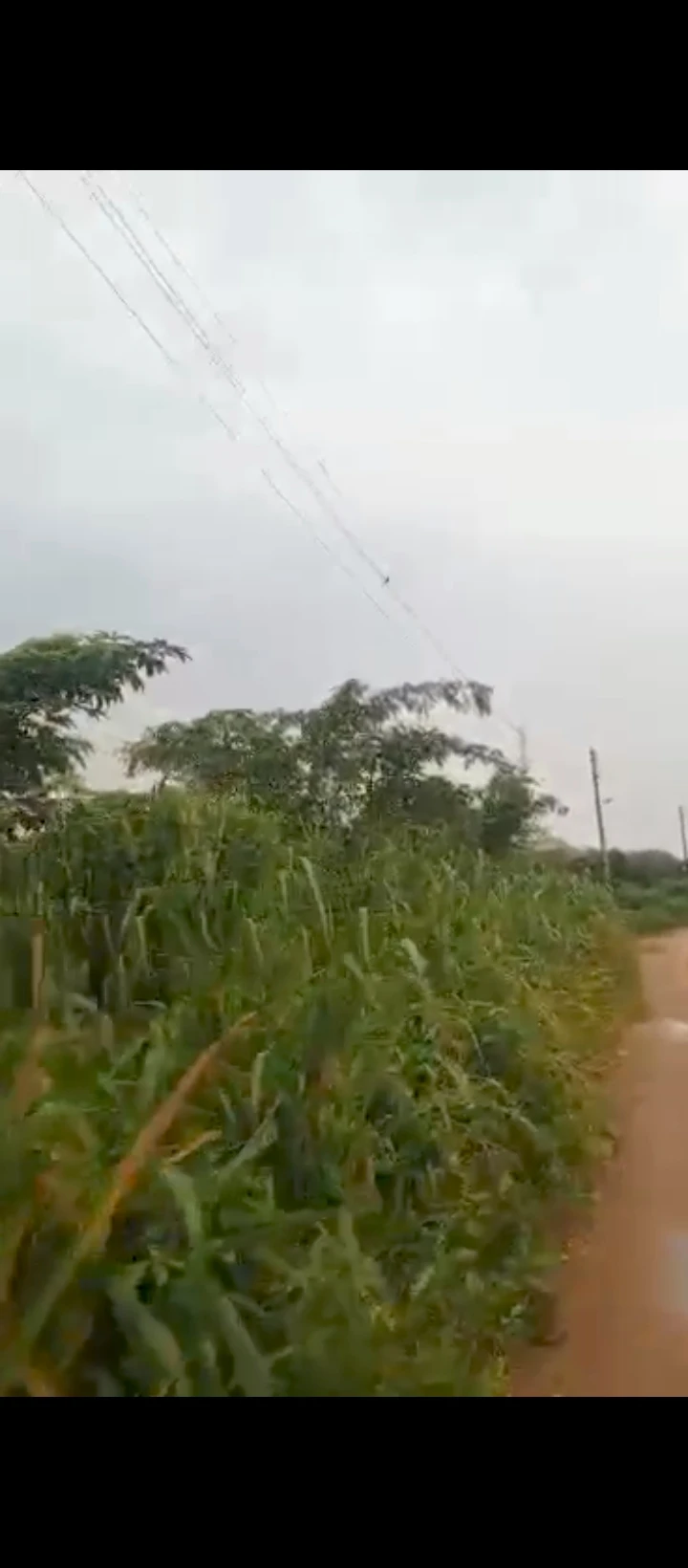Land for Sale in Peanut sapele road, Edo - Image 1