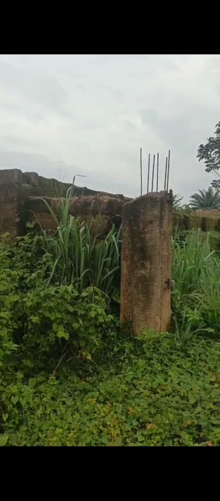 Land for Sale in Arougba, Edo - Image 2
