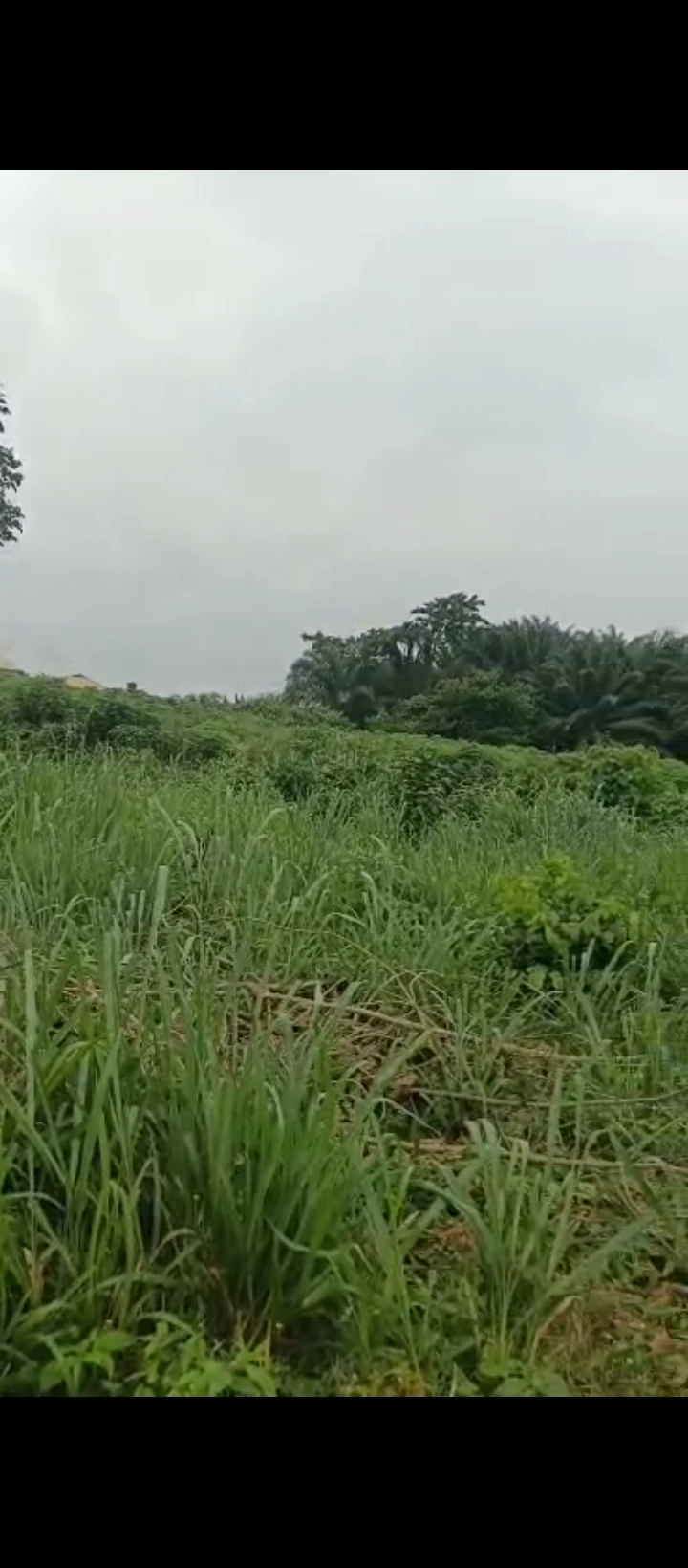 Land for Sale in Arougba, Edo - Image 3