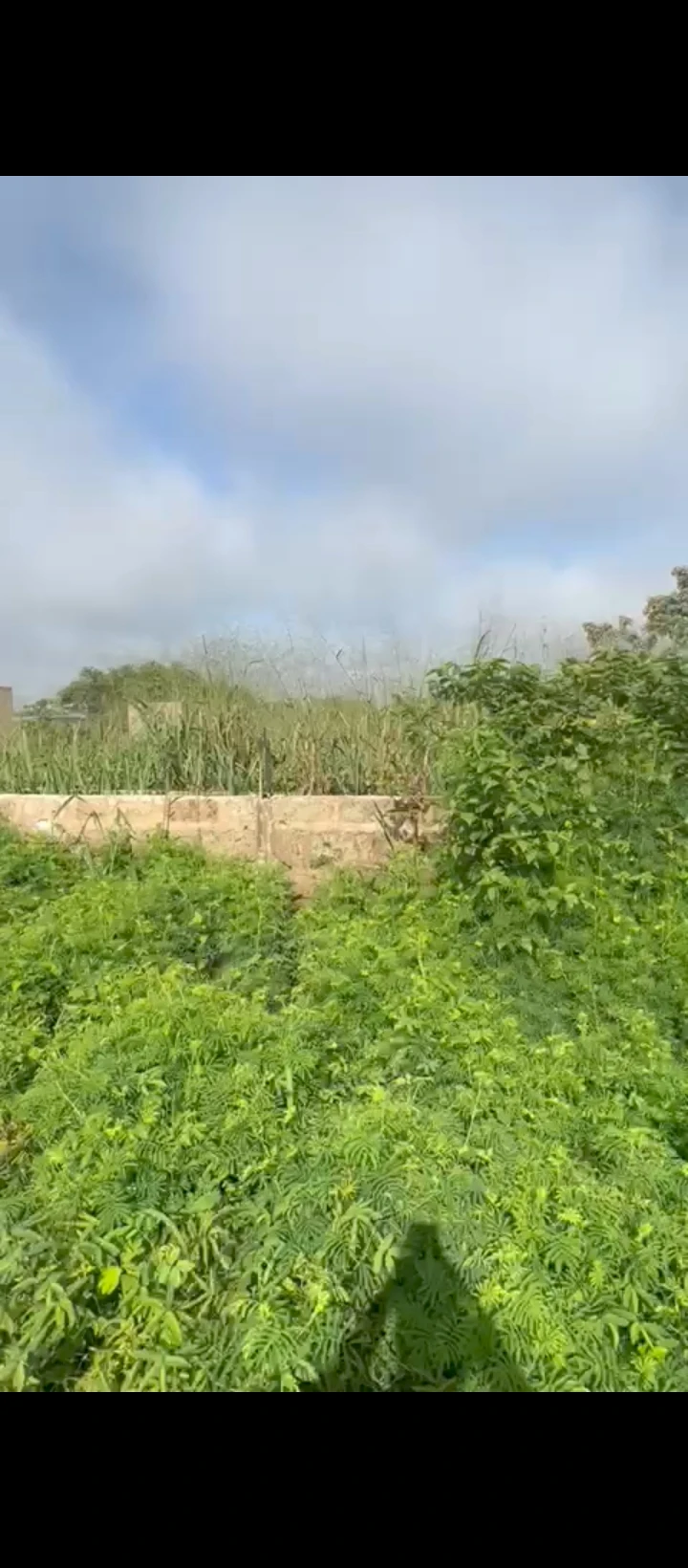 Uncompleted Building for Sale in BIU Road along sapele road, Edo - Image 2