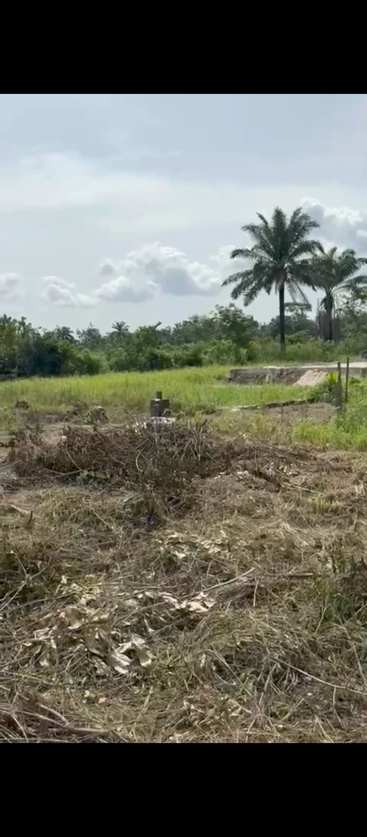 Land for Sale in Usieffuru, Delta - Image 2