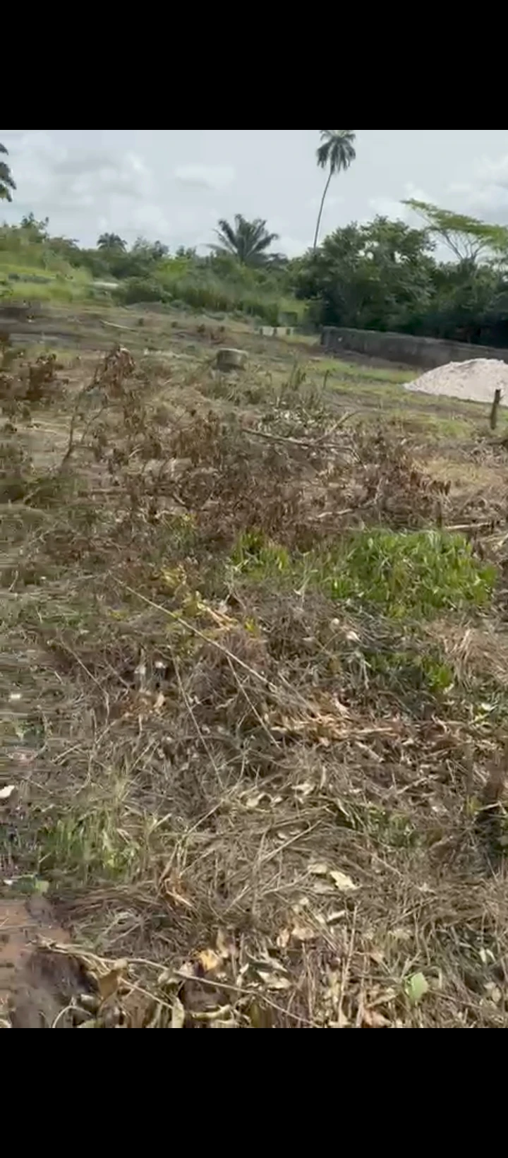Land for Sale in Usieffuru, Delta - Image 3