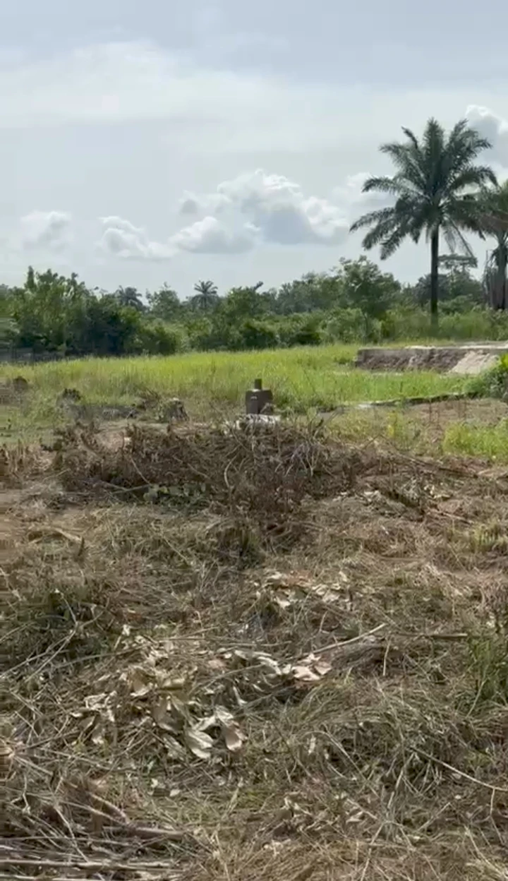Land for Sale in Usieffuru, Delta - Image 1