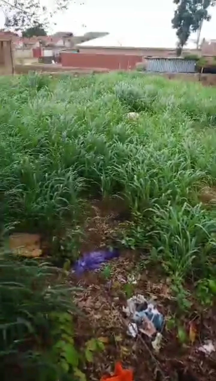 Land for Sale in Ugbowo, Edo - Image 1