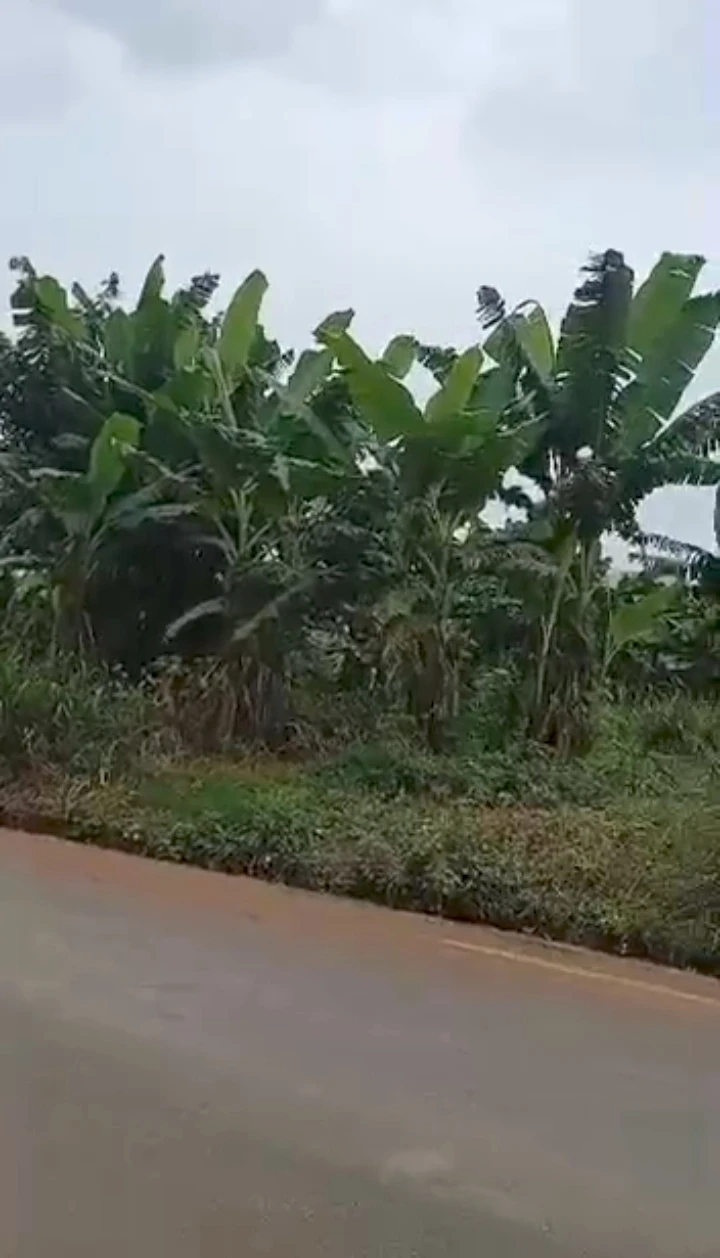 Land for Sale in 2nd ugbor, Edo - Image 1