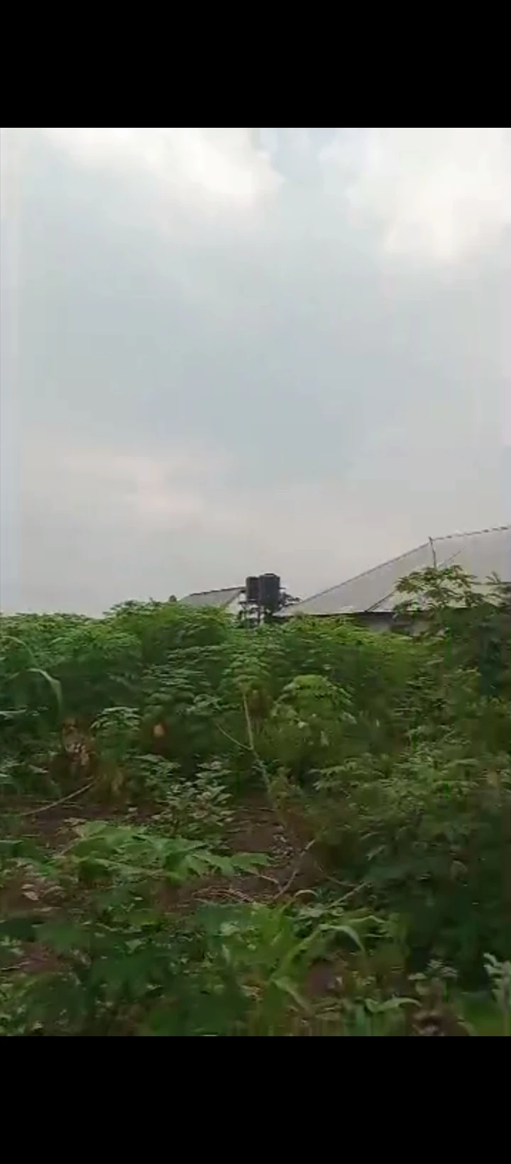 Land for Sale in Amagba, Edo - Image 2