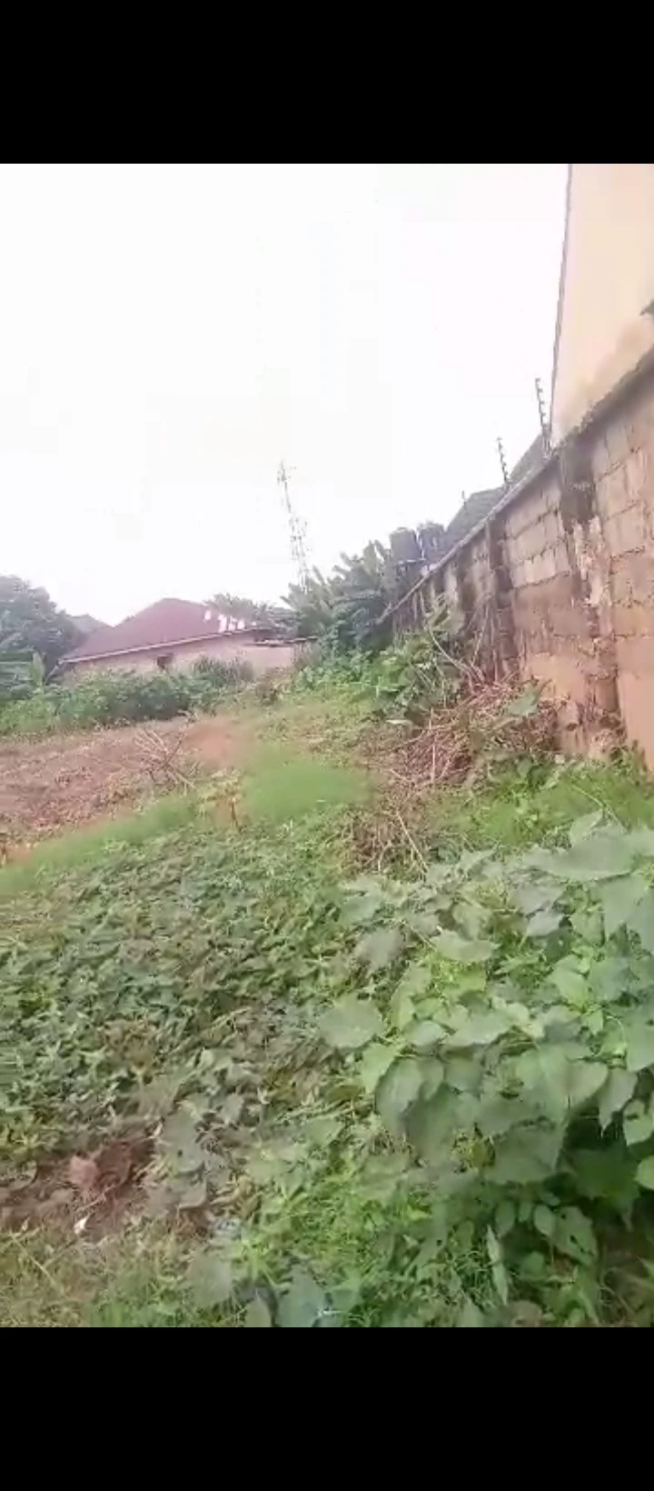 Land for Sale in Ugbor central, Edo - Image 3