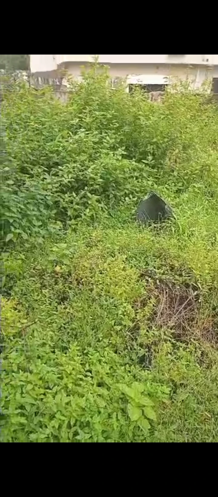 Land for Sale in Oredo, Edo - Image 2