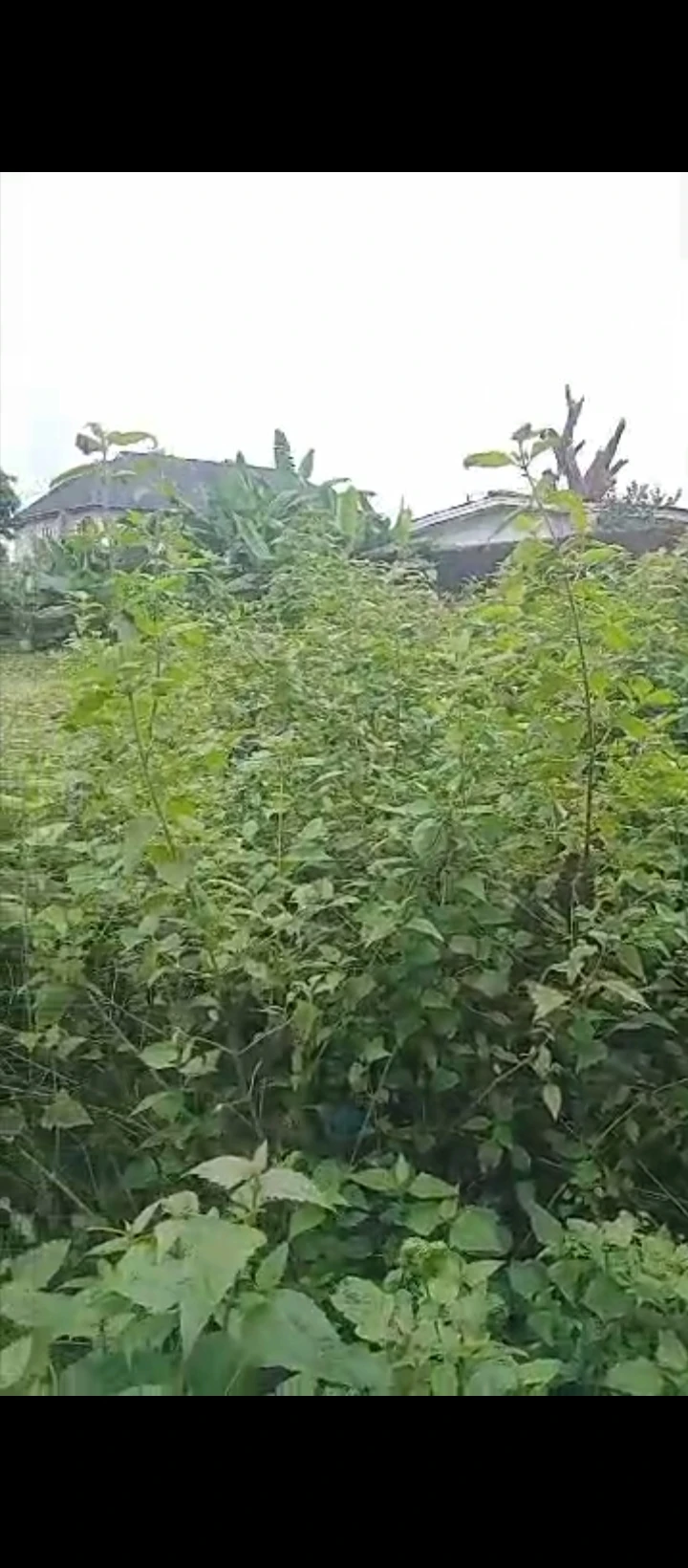Land for Sale in Oredo, Edo - Image 3