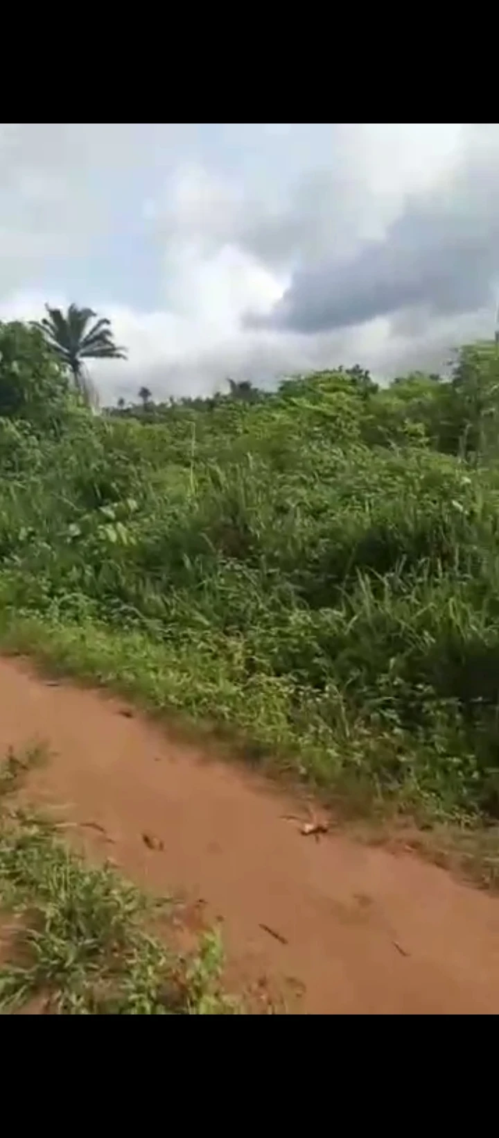 Land for Sale in EKHIADOLOR, Edo - Image 1
