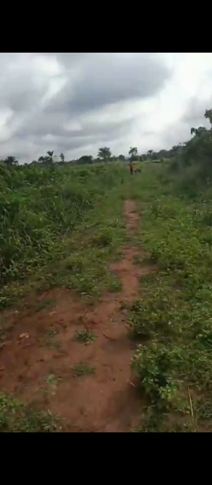 Land for Sale in EKHIADOLOR, Edo - Image 2