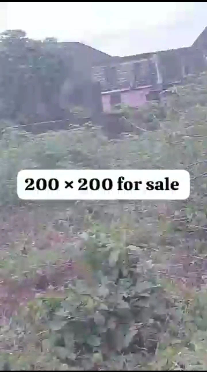Land for Sale in Amagba, Edo - Image 1