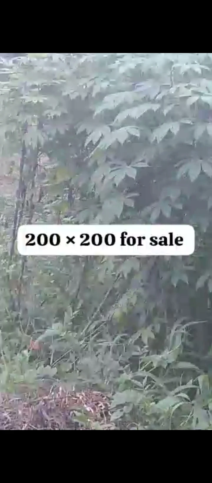 Land for Sale in Amagba, Edo - Image 3