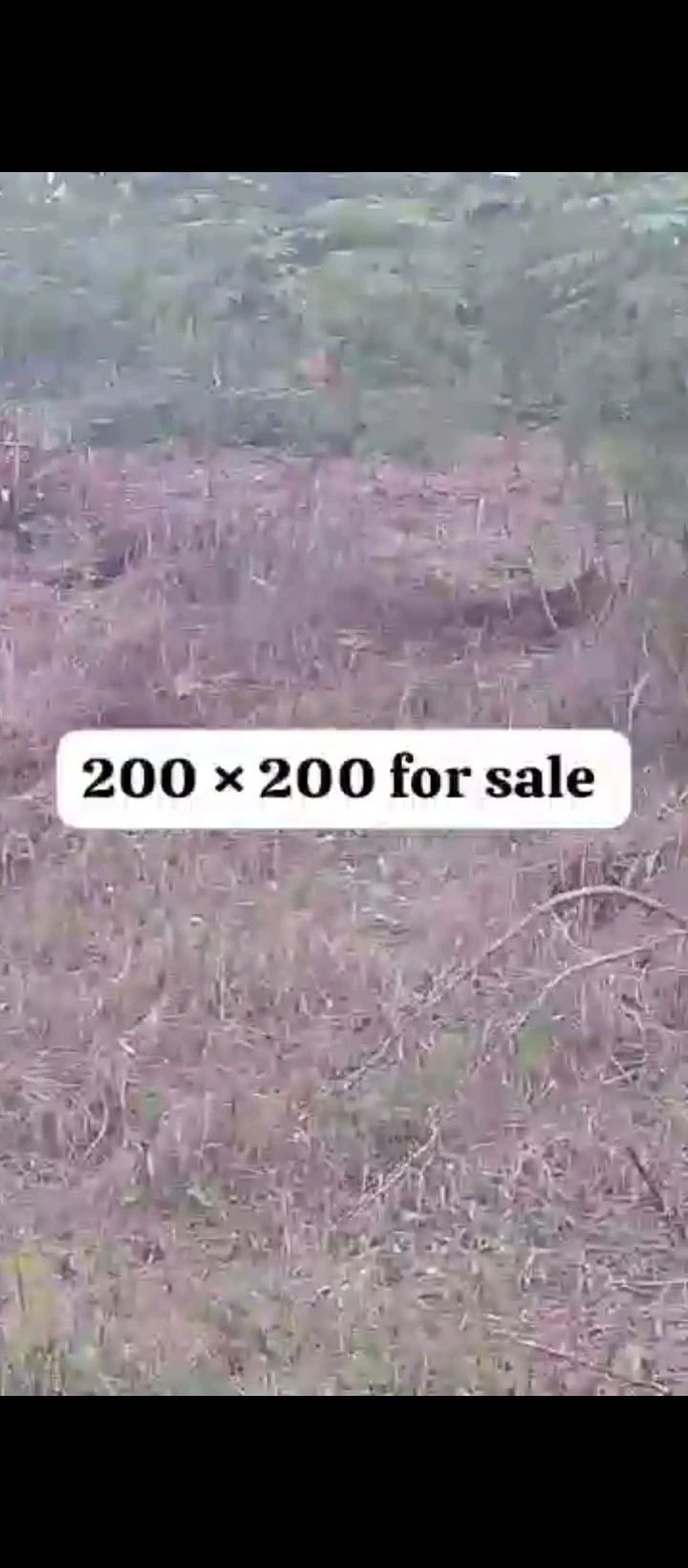 Land for Sale in Amagba, Edo - Image 2