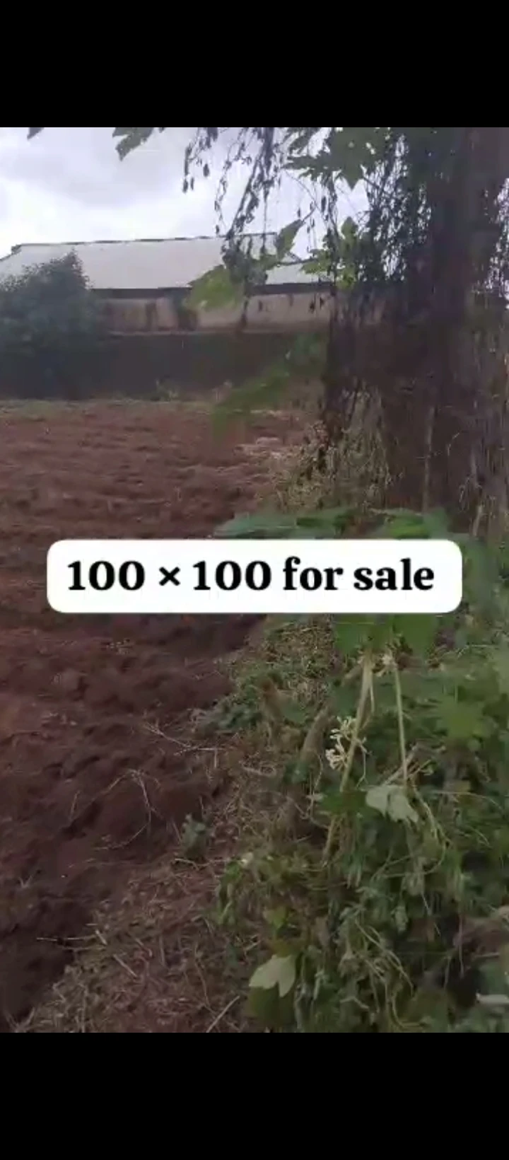 Land for Sale in Amagba, Edo - Image 2
